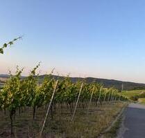 Ferienwohnung für bis zu 6 Personen und 2 Hunde - Kitzingen