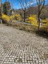 Foto - andere zur Miete in Bad Gottleuba-Berggießhübel