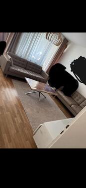 Foto - 3,5-Zimmer-Wohnung in Peine – Sammelbesichtigung am Wochenende