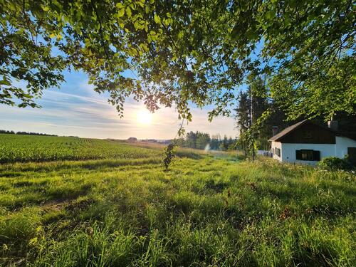 Foto - 5 Zimmer Einfamilienhaus zum Kaufen in Simbach am Inn