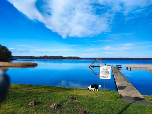 Foto - Wochenendhäuschen direkt am See