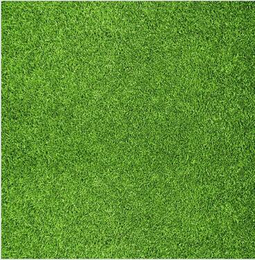 Foto - Aussenstellplatz eingezäunt - 20,00&nbsp;EUR Miete,