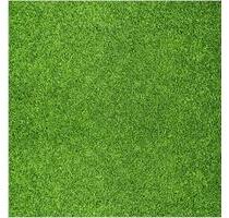 Aussenstellplatz eingezäunt - 20,00&nbsp;EUR Miete, in Neuruppin (PLZ: 16816)