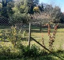 Gartengrundstück 700 Quadratmeter Nähe Ettenheim