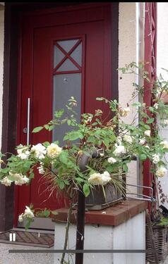 Foto - Einfamilienhaus in Magdeburg zum Kaufen