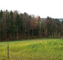 Helle Souterrain-Wohnung mit Gartenmitbenutzung zu vermieten - Leiblfing