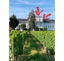 3-Zimmerwohnung mit Panoramablick - Hochheim am Main