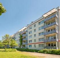 Natur oder Stadt - Sie haben die Wahl - Neubrandenburg Datzeberg