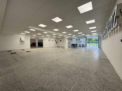 Foto - 6 Zimmer Etagenwohnung zur Miete in Markneukirchen