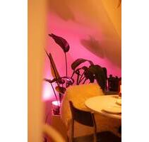 Sonnendurchflutete Wohnung ** ZWISCHENMIETE - Düsseldorf Flingern Süd