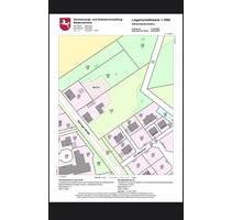 2 Häuser mit Grundstück 6.200 qm - Bispingen