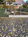 Foto - andere in Frechen