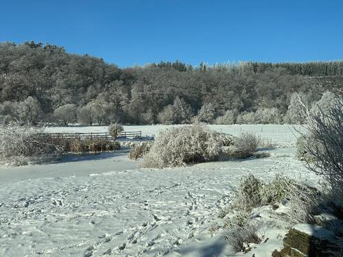 Foto - EFH in absoluter Alleinlage - 685.000,00&nbsp;EUR Kaufpreis, ca.&nbsp; 140,00&nbsp;m&sup2;