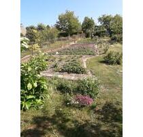 Kleingarten in Stralsund - 1.500,00 EUR Kaltmiete, ca.  0,00 m² in Stralsund (PLZ: 18435) Knieper