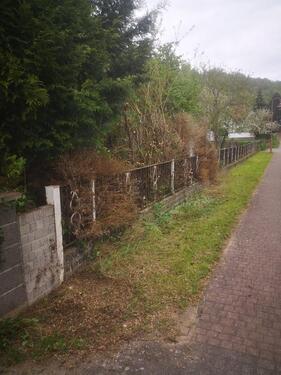 Foto - Einfamilienhaus zum Kaufen in Bad Bibra
