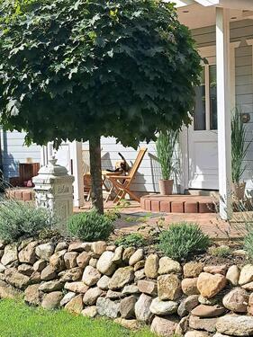 Foto - 6 Zimmer Einfamilienhaus in Wietzendorf