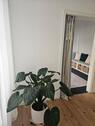Foto - andere in Ditzingen