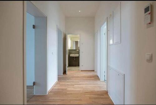 Foto - Etagenwohnung zur Miete in Chemnitz