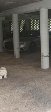 Foto - Tiefgaragenstellplatz - 50,00&nbsp;EUR Miete,