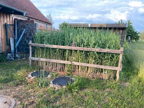 Foto - Doppelhaushälfte in Wittstock/Dosse zur Miete