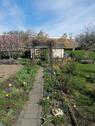 Foto - Kleingarten Schrebergarten in Bautzen