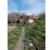 Kleingarten Schrebergarten in Bautzen - Dresden Prohlis