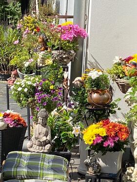 Foto - 1 Zimmer andere in Lachendorf