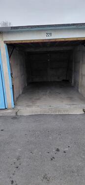 Foto - andere in Dresden