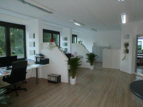 Foto - andere zur Miete in Sasbach