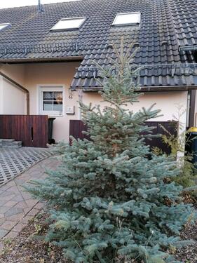 Foto - Reihenmittelhaus - 270.000,00&nbsp;EUR Kaufpreis, ca.&nbsp; 102,00&nbsp;m&sup2;