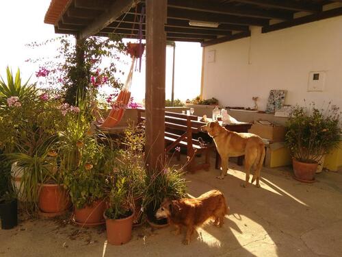 Foto - 3 Zimmer Etagenwohnung in Berlin