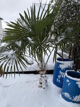 Foto - 3 Zimmer Doppelhaushälfte in Wuppertal