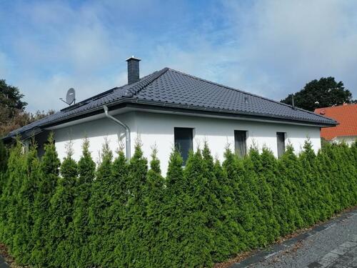 Foto - Bungalow in Meine zum Kaufen