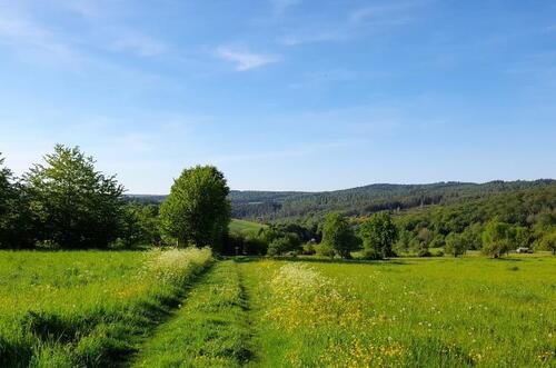Foto - Großzügiges Anwesen umgeben von Wald und Wiesen