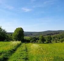 Großzügiges Anwesen umgeben von Wald und Wiesen - Schlangenbad
