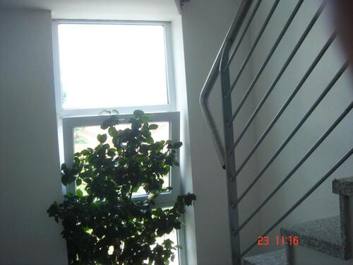 Foto - 1 Zimmer Etagenwohnung in Oschatz