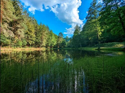 Foto - Urlaub im Pfälzerwald - 14 Nächte990€ - Ferienwohnung in Dahn