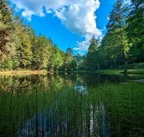 Urlaub im Pfälzerwald - 14 Nächte990€ - Ferienwohnung in Dahn - Stuttgart