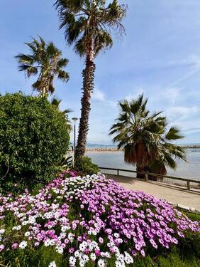 Foto - andere in Blankenfelde-Mahlow zur Miete