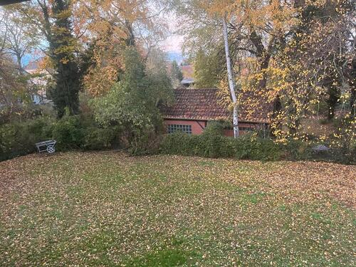 Foto - Büroraum in LaatzenRethen - 540,00 EUR Kaltmiete,