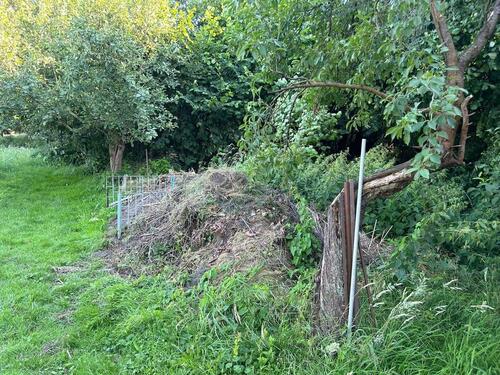 Foto - Grundst&uuml;ck in Bad Liebenwerda