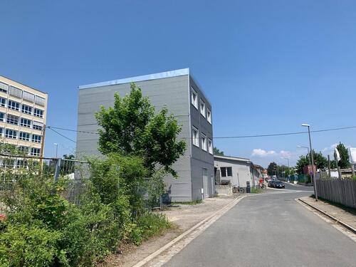 Foto - andere in Dresden