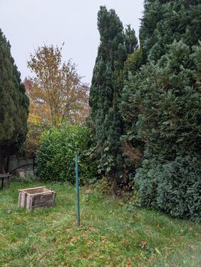 Foto - Grundst&uuml;ck in Bad Oldesloe