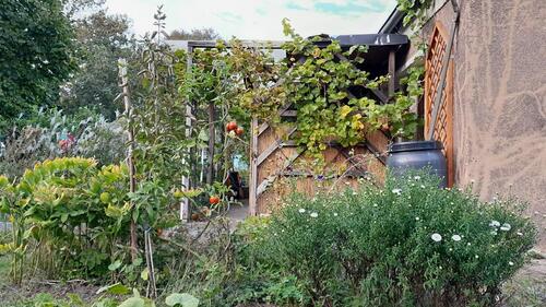 Foto - Grundstück in Cottbus zur Miete