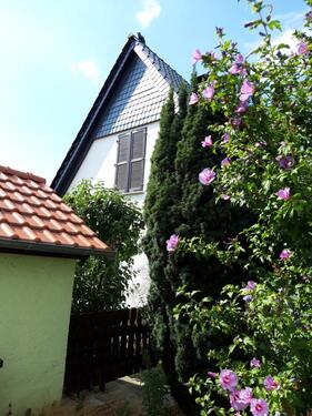 Foto - Einfamilienhaus in Worms zum Kaufen