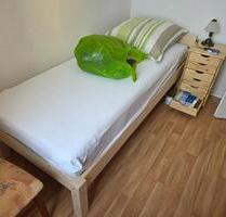 eingerichtete Seniorenwohnung - 233,00&nbsp;EUR Kaltmiete, ca.&nbsp; 31,00&nbsp;m&sup2; in Meißen (PLZ: 01662)