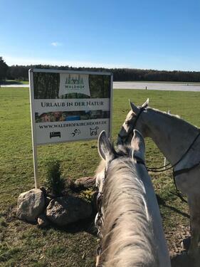 Foto - Urlaub mit eigenem Pferd - Kirchdorfer Heide