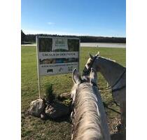 Urlaub mit eigenem Pferd - Kirchdorfer Heide