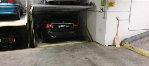 Foto - andere in Dresden