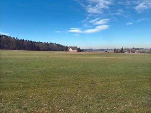 Foto - 6 Zimmer Einfamilienhaus in Bergatreute